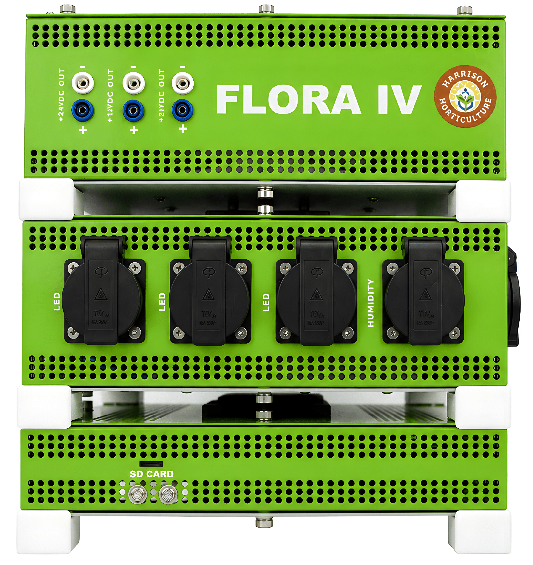 FLORA IV